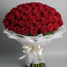 Букет 101 Красная роза Блэк Мэджик в Колычево Можайского района