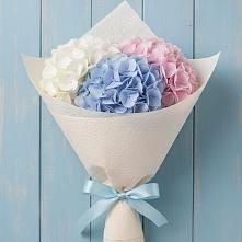 Букет цветов из:  Гортензия в Колычево Можайского района