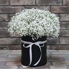 Цветочная композиция из Гипсофила в шляпной коробке #REPLACE_PRED# Колычево Можайского района