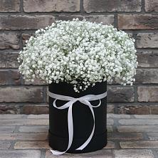 Цветочная композиция из Гипсофила в шляпной коробке в Колычево Можайского района