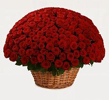 Премиум букет из: Розы в Колычево Можайского района