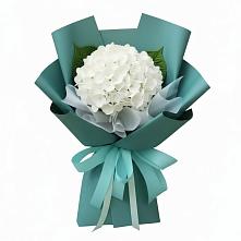 Букет цветов из:  Гортензия в Колычево Можайского района